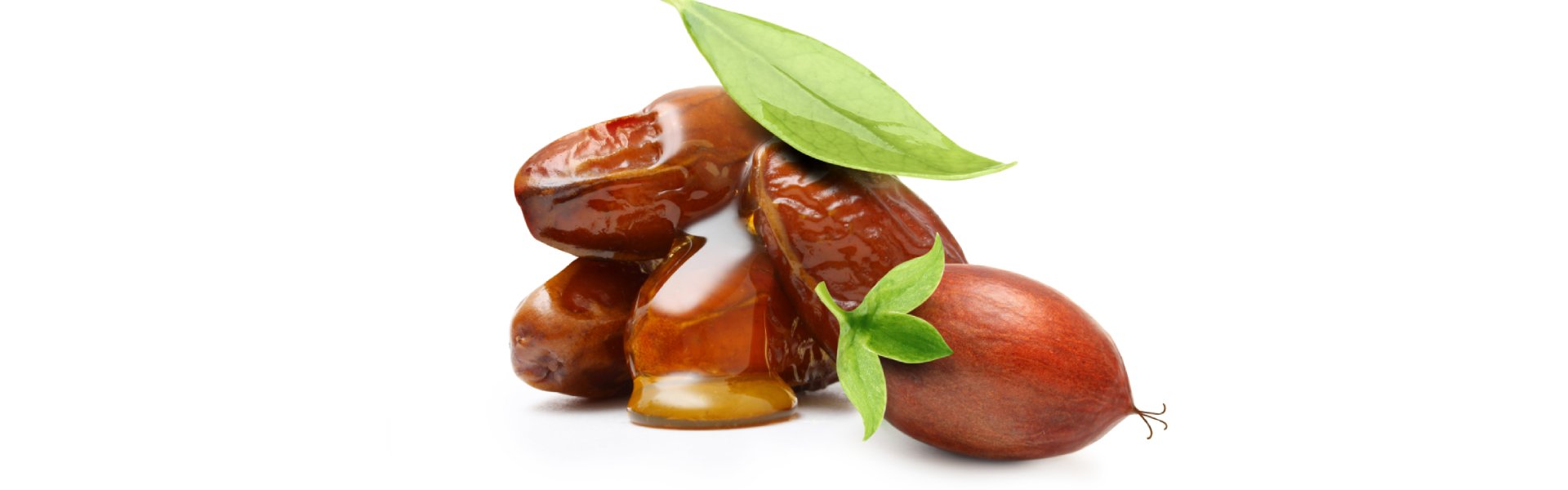 Jojoba