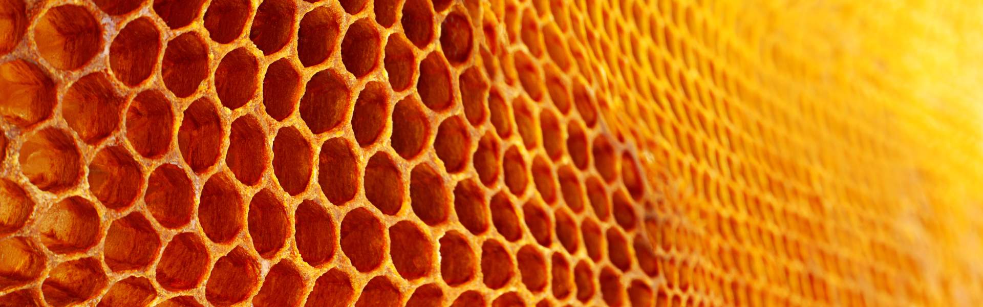 Beeswax